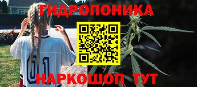 дурь Кинель